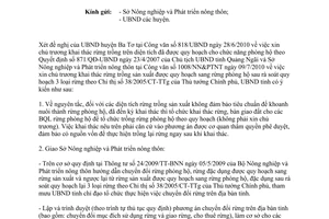 Công văn 2675/UBND-NNTN khai thác rừng trồng sản xuất được quy hoạch