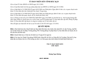 Quyết định số 2093/2010/QĐ-UBND điều kiện tiêu chuẩn chức danh cấp Trưởng Phó Sở Tư pháp Bắc Kạn