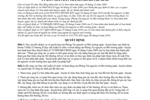 Quyết định 73/2010/QĐ-UBND sửa đổi Quy chế (mẫu) tổ chức và hoạt động