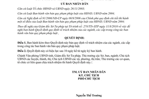 Quyết định 29/2010/QĐ-UBND trách nhiệm ban hành văn bản Vĩnh Phúc
