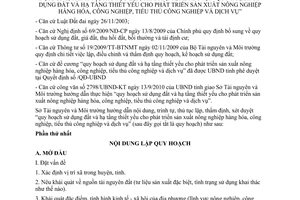 Hướng dẫn 979/HD-STNMT 2010 thủ tục thẩm định xét duyệt sử dụng đất và hạ tầng thiết yếu An Giang