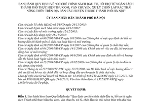 Quyết định 50/2010/QĐ-UBND Cơ chế chính sách đầu tư hỗ trợ