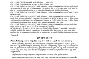 Thông tư 17/2010/TT-BTP  phân cấp quản lý công chức, công chức lãnh đạo