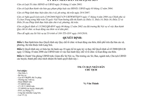 Quyết định 08/2010/QĐ-UBND Quy chế tổ chức và hoạt động thôn, khối phố