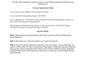 Quyết định 24/2010/QĐ-UBND quản lý bảo trì hệ thống đường Bình Định