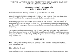 Nghị quyết 165/2010/NQ-HĐND thành lập Phòng Dân tộc thuộc uỷ ban nhân dân huyện tỉnh Phú Yên