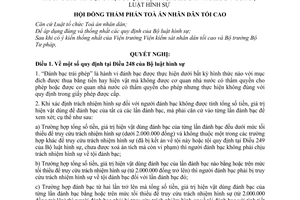 Nghị quyết 01/2010/NQ-HĐTP hướng dẫn điều 248, 249 Bộ luật hình sự