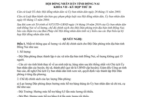 Nghị quyết 184/2010/NQ-HĐND số lượng chế độ chính sách cho Đội Dân phòng