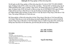 Công văn 1867/TTg-ĐMDN sắp xếp Tổng công ty Dâu tằm tơ Việt Nam