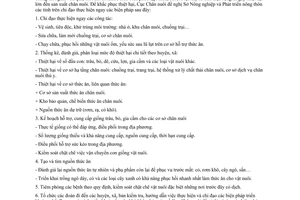 Công văn 1274/CN-GSL chủ động phục hồi chăn nuôi sau bão, lũ