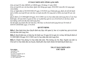 Quyết định 13/2010/QĐ-UBND Quy chế quản lý, bảo vệ phát huy giá trị