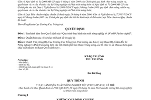 Quyết định 2999/QĐ-BNN-TT 2010 Quy trình thực hành sản xuất nông nghiệp VietGAP cà phê