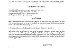 Quyết định 71/2010/QĐ-TTg Quy chế thí điểm đầu tư theo hình thức đối tác