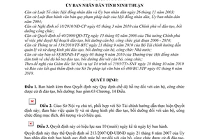 Quyết định 2095/2010/QĐ-UBND chế độ hỗ trợ cán bộ, công chức