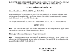 Quyết định 40/2010/QĐ-UBND Chi cục Văn thư - Lưu trữ tỉnh Lào Cai