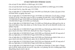 Quyết định 208/2010/QĐ-UBND Quy định phân cấp quản lý tổ chức bộ máy biên chế