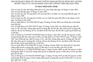 Quyết định 46/2010/QĐ-UBND cấp Giấy chứng nhận quyền sử dụng đất