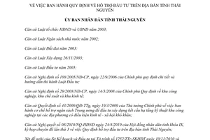 Quyết định 39/2010/QĐ-UBND hỗ trợ đầu tư Thái Nguyên