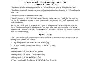 Nghị quyết 16/2010/NQ-HĐND phê chuẩn quyết toán ngân sách 2009 Bà Rịa- Vũng Tàu