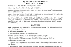 Nghị quyết 28/2010/NQ-HĐND quy hoạch bảo vệ và phát triển rừng tỉnh Lào Cai