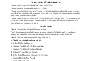 Quyết định 59/2010/QĐ-UBND chức danh số lượng chế độ chính sách đối với cán bộ