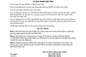 Quyết định 31/2010/QĐ-UBND mức chi phổ biến giáo dục pháp luật tỉnh Bình Định