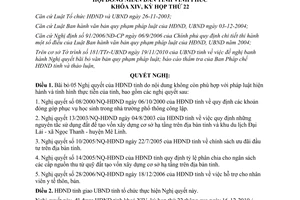 Nghị quyết 36/2010/NQ-HĐND hủy bỏ Nghị quyết Hội đồng nhân dân tỉnh Vĩnh Phúc