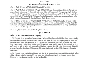 Quyết định 27/2010/QĐ-UBND chức năng cơ cấu tổ chức của Sở Tư pháp Lai Châu