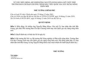 Quyết định 2199/QĐ-TTg bổ nhiệm ông Nguyễn Đăng Khoa giữ chức Phó