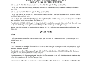 Nghị quyết 13/2010/NQ-HĐND định mức phân bổ dự toán chi thường xuyên NS Cần Thơ