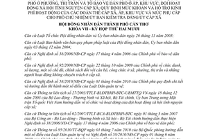 Nghị quyết 25/2010/NQ-HĐND chế độ chính sách đối với lực lượng dân quân