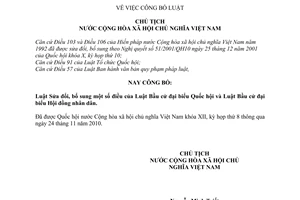 Lệnh 21/2010/L-CTN công bố Luật