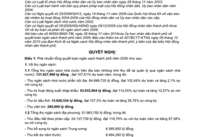 Nghị quyết 11/2010/NQ-HĐND tổng quyết toán ngân sách thành phố