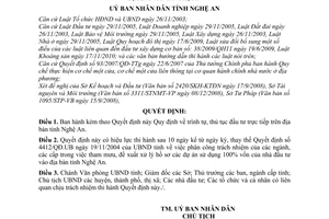 Quyết định 100/2010/QĐ-UBND  trình tự thủ tục đầu tư trực tiếp