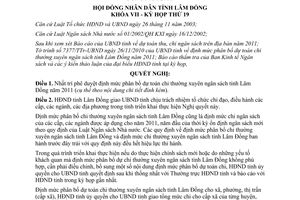 Nghị quyết 156/2010/NQ-HĐND định mức phân bổ dự toán chi thường xuyên ngân sách