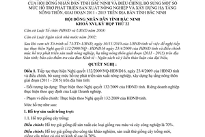 Nghị quyết 182/2010/NQ-HĐND16 tiếp tục thực hiện Nghị quyết 132/2009/NQ-HĐND16