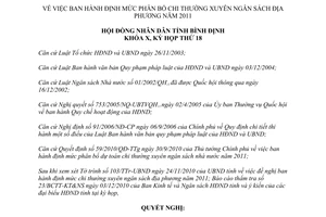 Nghị quyết 16/2010/NQ-HĐND định mức chi thường xuyên ngân sách địa phương 2011 Bình Định