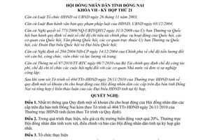 Nghị quyết 203/2010/NQ-HĐND khoản chi hoạt động Hội đồng nhân dân các cấp Đồng Nai