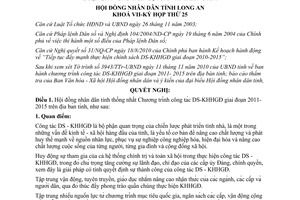 Nghị quyết 159/2010/NQ-HĐND thực hiện công tác dân số kế hoạch hóa gia đình