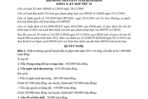 Nghị quyết 13/2010/NQ-HĐND kế hoạch đầu tư phát triển năm 2011 Bình Định