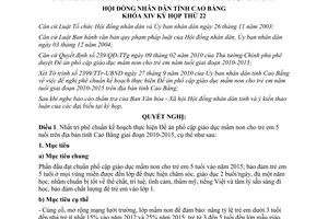 Nghị quyết 46/2010/NQ-HĐND phổ cập giáo dục mầm non trẻ em 5 tuổi Cao Bằng