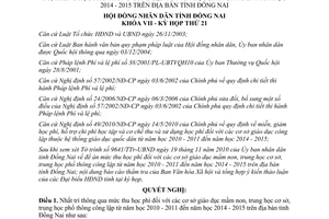 Nghị quyết 197/2010/NQ-HĐND mức thu học phí đối với cơ sở giáo dục mầm non