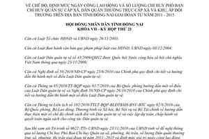 Nghị quyết 202/2010/NQ-HĐND chế độ định mức ngày công lao động Dân quân Đồng Nai