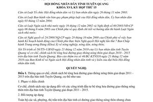 Nghị quyết 22/2010/NQ-HĐND bê tông hoá đường giao thông nông thôn Tuyên Quang