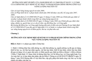 Thông tư 26/2010/TT-BKHCN hướng dẫn Nghị định 111/2009/NĐ-CP