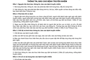 Thông tư 48/2010/TT-BYT hướng dẫn chế độ khai báo thông tin báo cáo bệnh