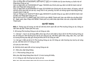 Nghị quyết 23/2010/NQ-HĐND  kiện toàn tổ chức và chế độ chính sách