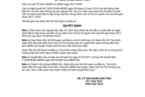 Quyết định 28/2010/QĐ-UBND định mức phân bổ vốn đầu tư phát triển từ ngân sách Bình Định 2011-2015