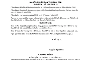 Nghị quyết 74/2010/NQ-HĐND hoạt động giám sát hội đồng nhân dân thường trực hội đồng Thái Bình