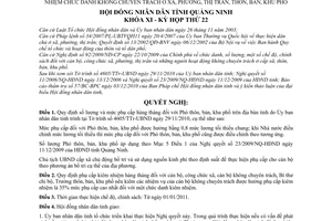 Nghị quyết 23/2010/NQ-HĐND mức phụ cấp hàng tháng